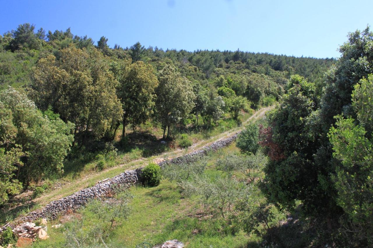 Seaside Secluded Apartments Cove Karkavac - Scedro, Hvar - 8801 耶尔萨 外观 照片